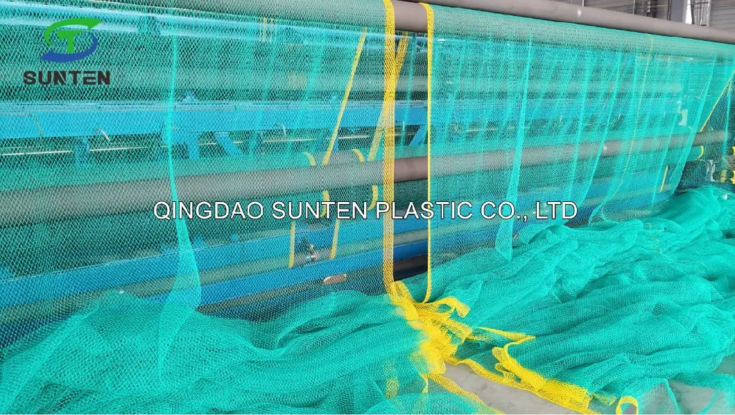 EU Standard PE/PP/Polyester/Nylon/Plastic Scaffolding/Cargo/Fishing/Fish/Bird/Volleyball/Hockey/Tennis/Baseball/Football/Building Construction Safety Netting