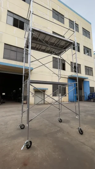 HDG/Hot DIP Galvanization 8′ ′ Caster Frame Scaffold Accessories for Scaffolding/System Scaffolding