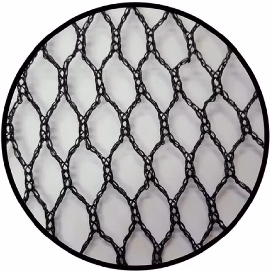Protect Your Garden Vegetables Fruit Plants Construction Safety Netting